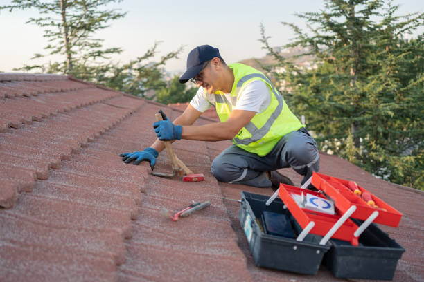 Best Flat Roof Repair Services  in Carl Junction, MO